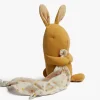 Parachute Baby Toys*Lullaby Friends Bunny